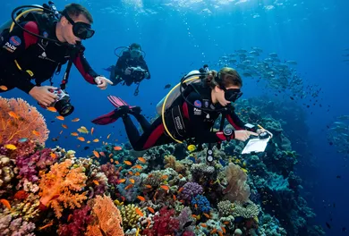 PADI / ProNRC Enriched Air Nitrox Specialty Course