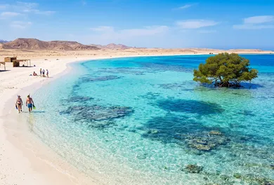 Sharm El Luli White Lagoon & El Qulaan Mangrove Tour